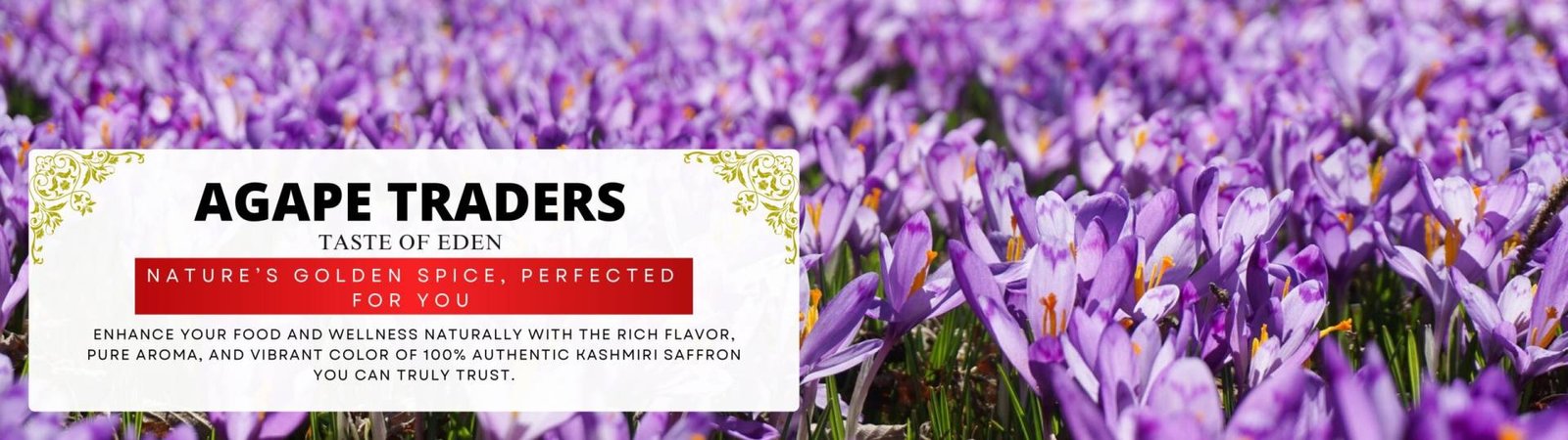 Home Dream Escape Holidays 7 Page 0002 Scaled